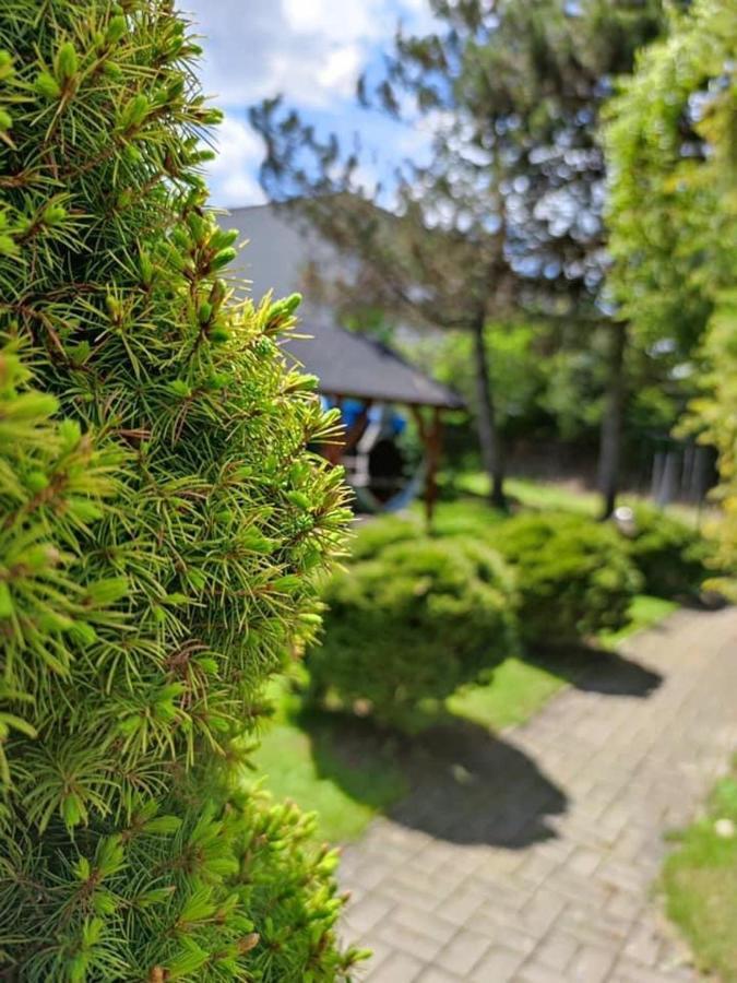 Hotel Penzion Roal Pieniny Spisska Stara Ves Esterno foto