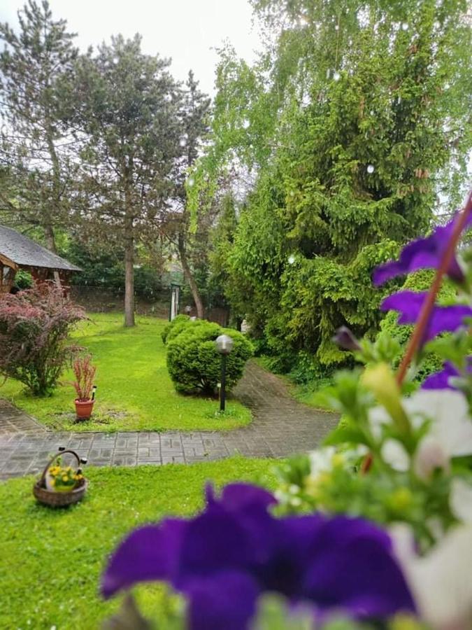 Hotel Penzion Roal Pieniny Spisska Stara Ves Esterno foto