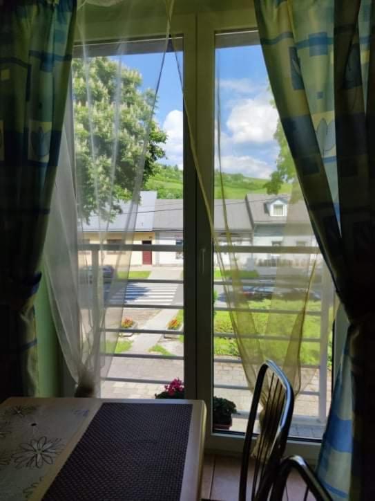 Hotel Penzion Roal Pieniny Spisska Stara Ves Esterno foto