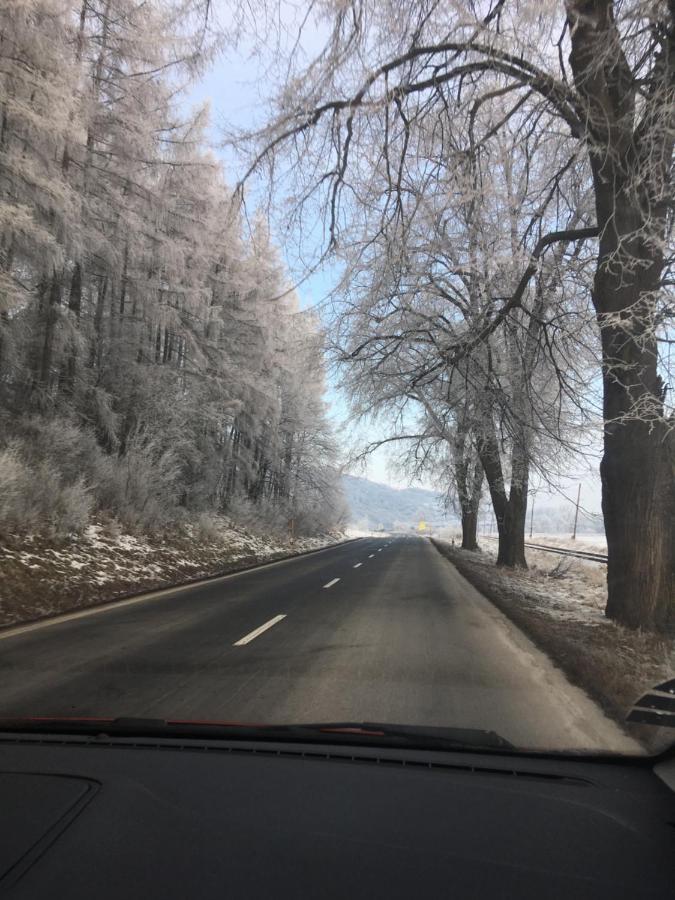 Hotel Penzion Roal Pieniny Spisska Stara Ves Esterno foto