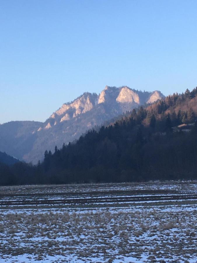 Hotel Penzion Roal Pieniny Spisska Stara Ves Esterno foto