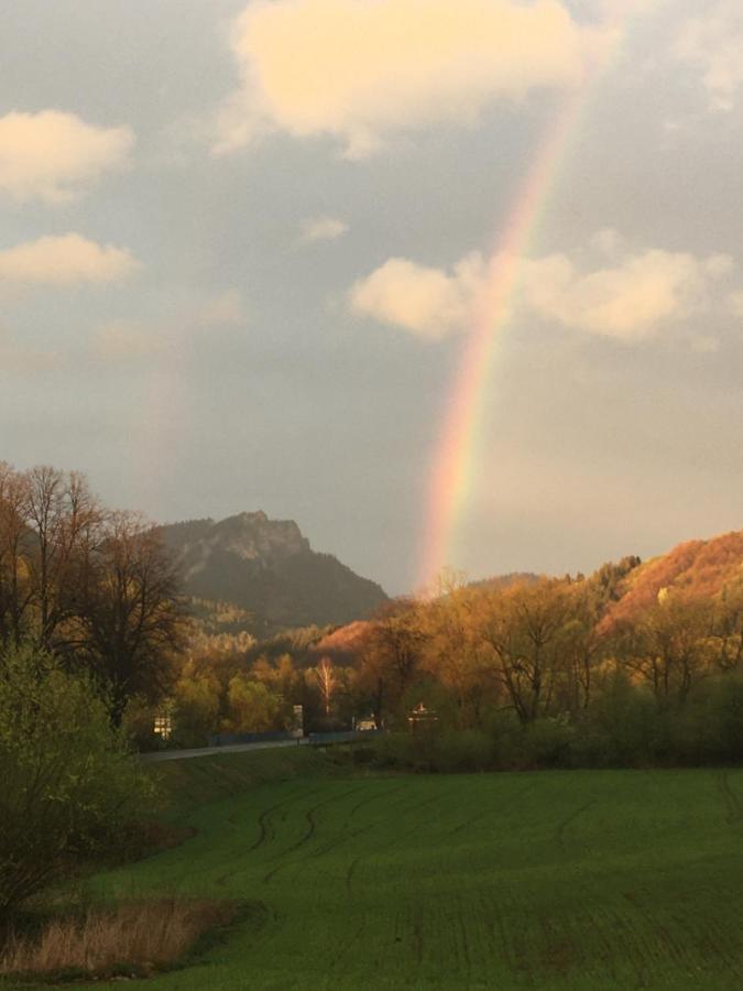 Hotel Penzion Roal Pieniny Spisska Stara Ves Esterno foto