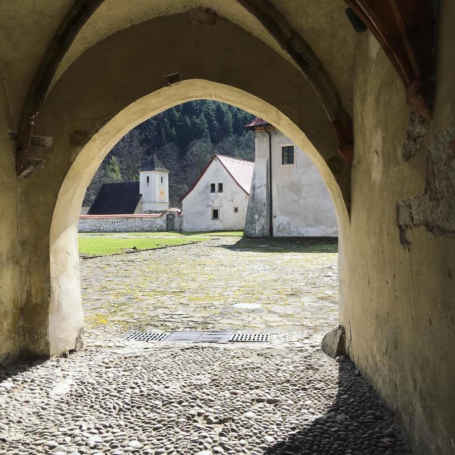 Hotel Penzion Roal Pieniny Spisska Stara Ves Esterno foto